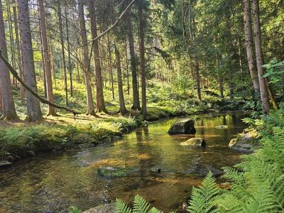 Wandern in der Nähe