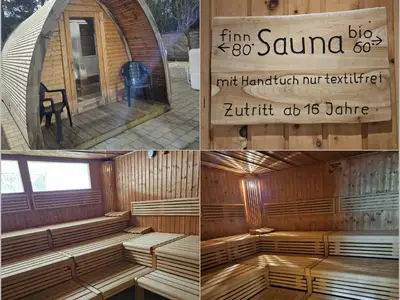 Saunen