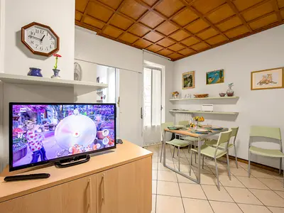 Fernseher