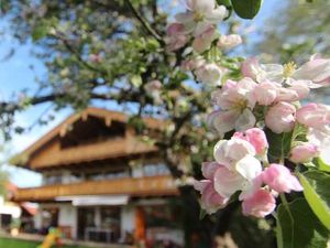 Appartement für 4 Personen (55 m²) in Schliersee