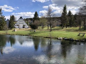 23363299-Appartement-4-Schönwald im Schwarzwald-300x225-1