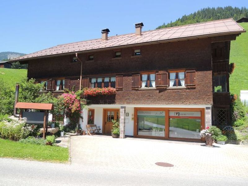 19190300-Appartement-3-Schoppernau-800x600-0