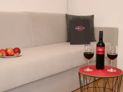 Appartement für 4 Personen in Schrattenberg 6/10