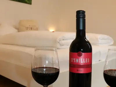 Appartement für 4 Personen in Schrattenberg 5/10