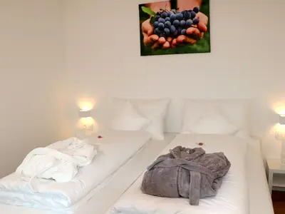 Appartement für 4 Personen in Schrattenberg 3/10