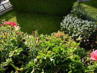 Appartement für 4 Personen in Schrems 5/10