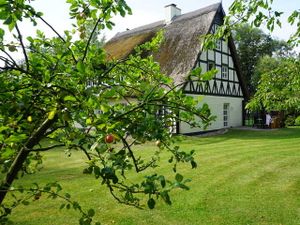 18947216-Appartement-2-Schwarbe auf Rügen-300x225-0