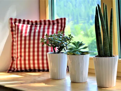 Appartement für 10 Personen in Schwarzau im Gebirge 7/10