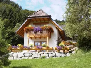 Appartement für 2 Personen (20 m²) in Seelbach