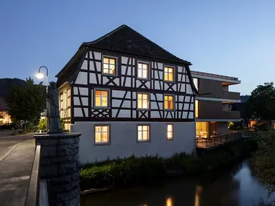 Appartement für 2 Personen (57 m²) in Singen 4/10