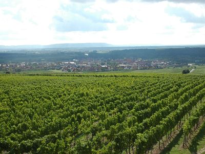 Blick vom Aussichtsturm auf Sommerach