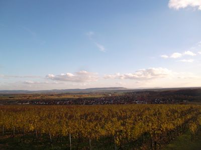 Sommerach aus den Weinbergen