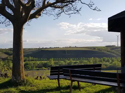 Weinbergsaussicht an der Schutzhütte