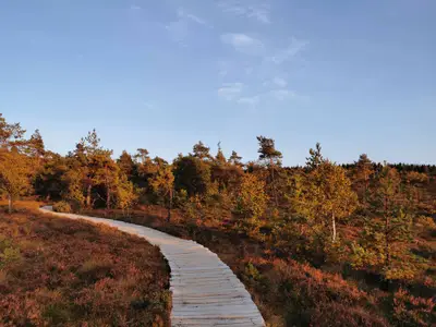 Appartement für 3 Personen in Sondheim vor der Rhön 7/10