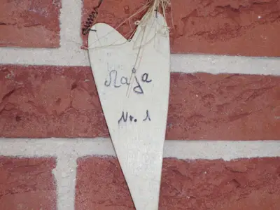 Herzlich willkommen imm Appartement maya