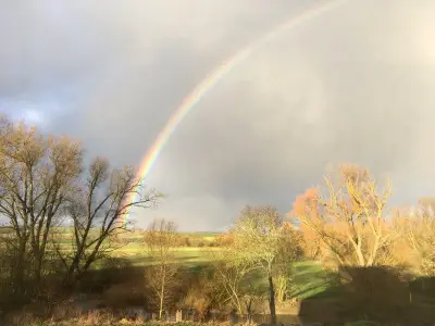 Regenbogen