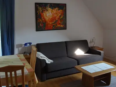 Ausziehcouch Wohnraum