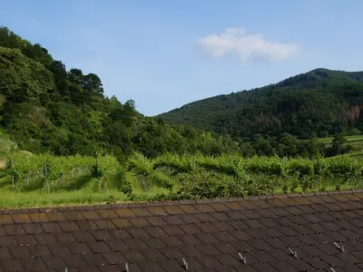 Ausicht Balkon
