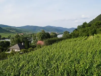 Weingut Pammer von der Rückseite