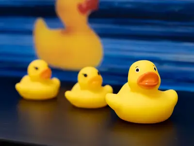 Appartement für 4 Personen in Eschau 10/10