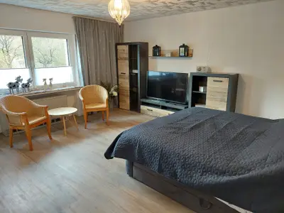 Appartement für 4 Personen (105 m²) in Winterberg 4/10