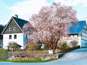 Appartement für 5 Personen in Lennestadt