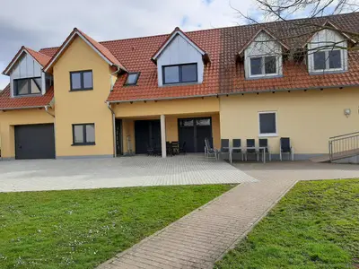 Liebstöckel Ansicht