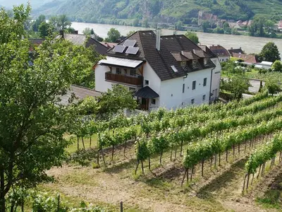 Weingut Pammer Außenansicht