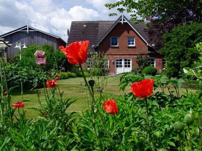 Appartement für 5 Personen (70 m²) in Stoltebüll 1/10