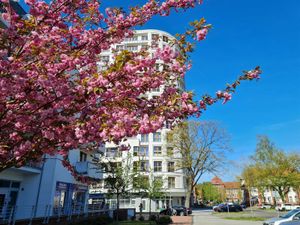 Appartement für 6 Personen (73 m&sup2;) in Swinemünde