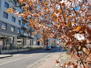 Appartement für 3 Personen (27 m&sup2;) in Swinemünde