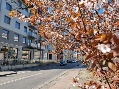 Appartement für 3 Personen (27 m²) in Swinemünde 1/10