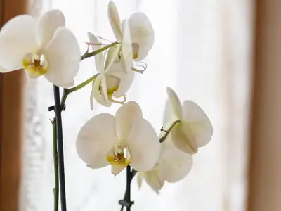 Frey_016 Flur Deko 2.jpg