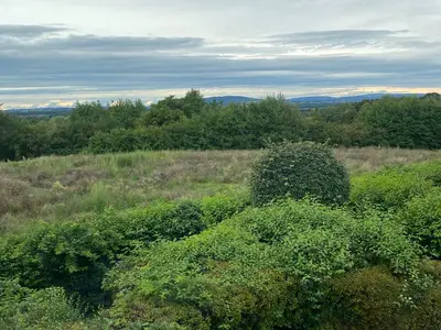 Weitblick