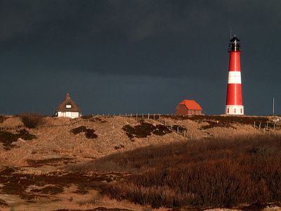 Appartement für 3 Personen (40 m²) in Tinnum (Sylt) 10/10