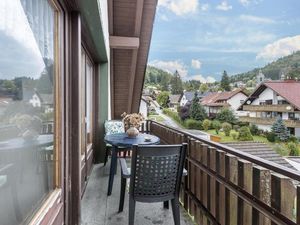 23346831-Appartement-1-Todtmoos-300x225-2