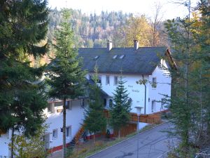 Appartement für 2 Personen (30 m&sup2;) in Todtmoos