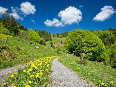 Wandern im Frühling auf einsamen Pfaden