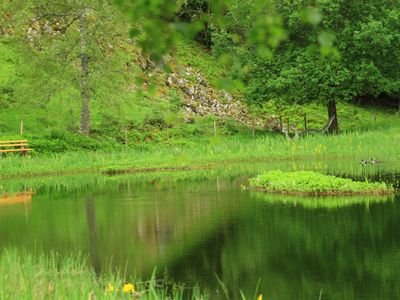 Idyllisch gelegener See in der Nähe von Schönau