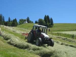 24053178-Appartement-2-Todtnau-300x225-4