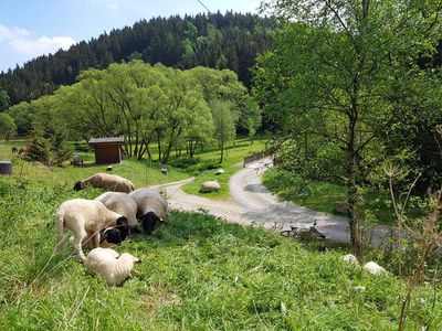 Appartement für 3 Personen (35 m²) in Trautenstein 10/10