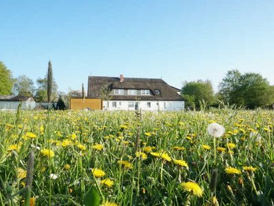 Appartement für 2 Personen (27 m²) in Trent (Rügen) 4/8