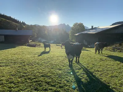 Appartement für 6 Personen in Unken 1/10