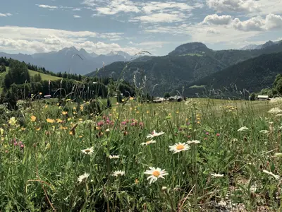 Appartement für 6 Personen in Unken 1/10