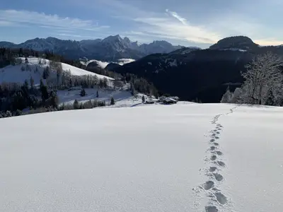 Appartement für 6 Personen in Unken 1/10