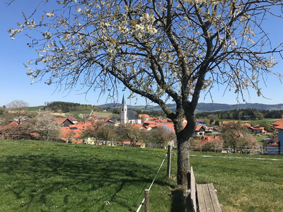 Blick auf Gottsdorf