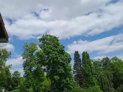 Appartement für 2 Personen (50 m²) in Untermerzbach 7/10