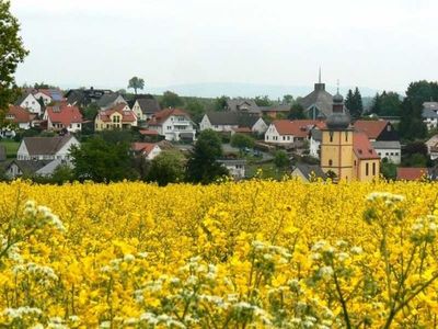 Appartement für 2 Personen (40 m²) in Vielbrunn 4/10