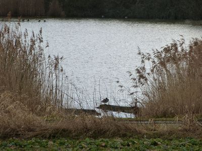 herrliche Natur, direkt vor der Haustür