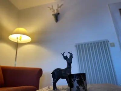 Appartement zum Hirsch'n